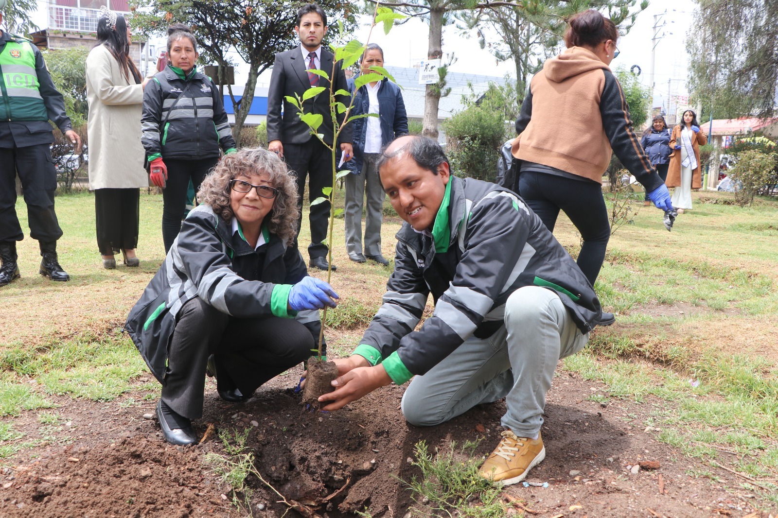 PLANTAS